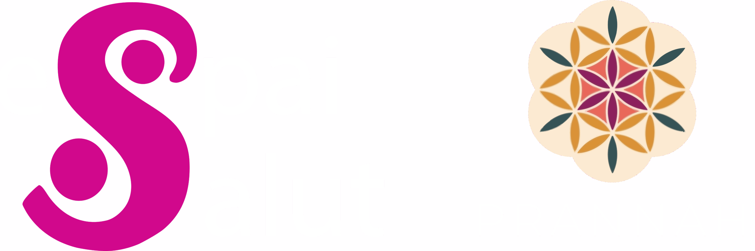 Logo Espai Salut Sallent